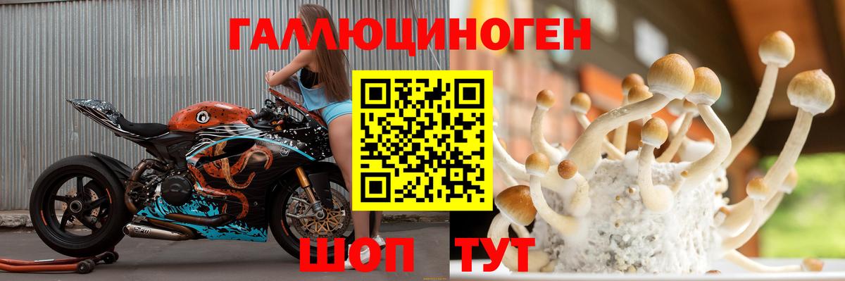 Галлюциногенные грибы Cubensis Нижний Тагил